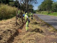 apos-mortes-de-oncas-pintadas-vitimas-de-atropelamento,-der-sp-inicia-instalacao-de-radares-em-rodovia-que-corta-o-parque-estadual-do-morro-do-diabo