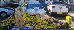 carro-com-mais-de-690-kg-de-maconha-e-placas-falsas-e-apreendido,-em-rosana