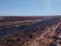 empresa-e-autuada-em-r$-12,7-mil-por-usar-fogo-de-maneira-irregular-em-area-de-12,7-hectares,-em-teodoro-sampaio