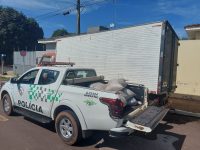 policia-ambiental-apreende-mais-de-150kg-de-po-de-xaxim-e-responsavel-leva-multa-de-quase-r$-50-mil-em-indiana