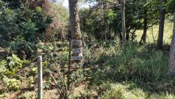 assentado-e-multado-em-mais-de-r$-8,7-mil-por-utilizar-area-de-reserva-ambiental-ilegalmente,-em-sandovalina