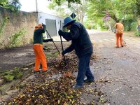 prudenco-intensifica-trabalhos-de-coleta-de-folhas-em-prudente