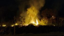 incendio-atinge-area-de-vegetacao-do-jardim-eldorado,-em-presidente-prudente