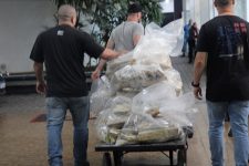 motorista-e-preso-ao-transportar-1,2-tonelada-de-maconha-em-fundo-falso-de-caminhao,-em-taciba