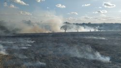 incendio-atinge-grande-area-de-pastagem-e-vegetacao,-em-presidente-prudente