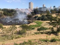 incendio-atinge-area-de-vegetacao-equivalente-a-tres-campos-de-futebol,-no-jardim-itapura-1,-em-presidente-prudente