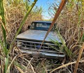 criminoso-foge-da-pm-e-abandona-caminhonete-furtada-em-canavial,-em-junqueiropolis