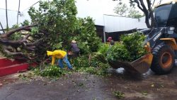 chuva-forte-derruba-arvore-em-transformador-e-escola-municipal-fica-sem-energia,-em-dracena