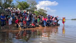 alunos-de-escolas-municipais-de-rosana-soltam-50-mil-peixes-no-rio-parana,-no-distrito-de-porto-primavera