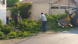 chuva-com-ventos-de-mais-de-60-km/h-destelha-casas-e-derruba-arvores,-em-dracena