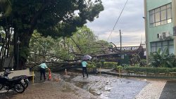 com-rajadas-de-vento-de-mais-de-60km/h,-temporal-causa-estragos-na-regiao-de-presidente-prudente