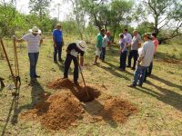 com-investimento-de-r$-11,6-milhoes,-prefeitura-de-presidente-epitacio-assina-contrato-com-caixa-federal-para-construcao-de-museu-arqueologico-e-historico