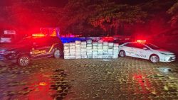 motorista-de-caminhao-e-preso-por-transportar-1,3-tonelada-de-maconha,-em-adamantina