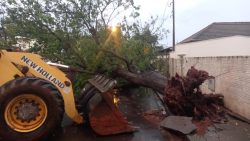 temporal-repentino-provoca-quedas-de-arvores-e-interdita-vias-em-florida-paulista-e-tarabai