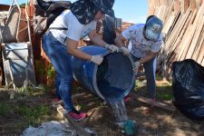 iepe-realiza-mutirao-de-limpeza-contra-mosquito-aedes-aegypti-pelas-ruas-da-cidade,-neste-sabado