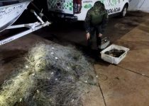 policia-ambiental-apreende-1,6-mil-metros-de-redes-de-pesca-e-doa-parte-dos-peixes-capturados-a-instituicao,-em-panorama