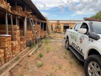 policia-ambiental-realiza-duas-fiscalizacoes-e-madeireira-acaba-multada-em-mais-de-r$-22-mil-por-irregularidades,-em-rancharia